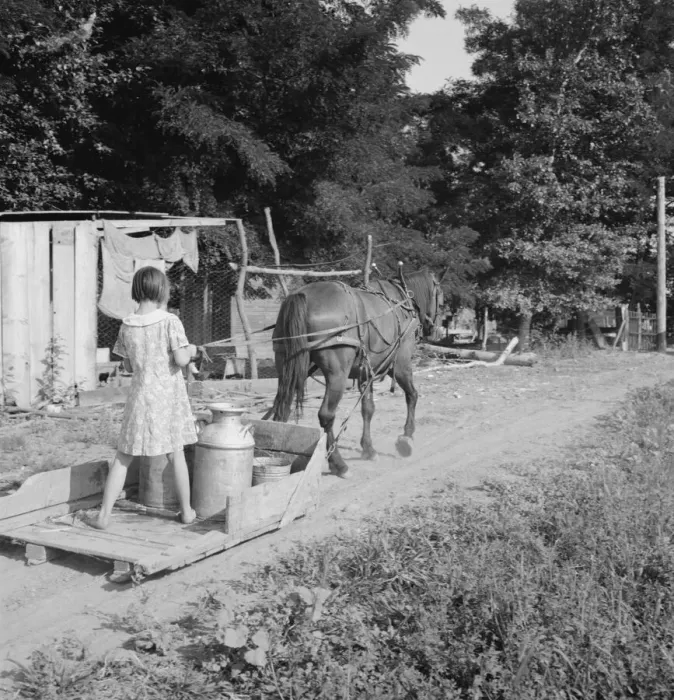 Framed Print : All Chris Adolfs children are hard workers on the new place, Yakima Valley, Washington, 1939. Creator: Dorothea Lange Framed Print : All Chris Adolfs children are hard workers on the new place, Yakima Valley, Washington, 1939. Creator: Dorothea Lange