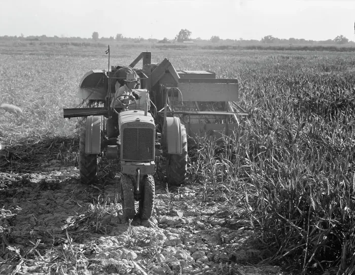 Framed Print : All-crop harvesting, Tulare County, California, 1938. Creator: Dorothea Lange Framed Print : All-crop harvesting, Tulare County, California, 1938. Creator: Dorothea Lange