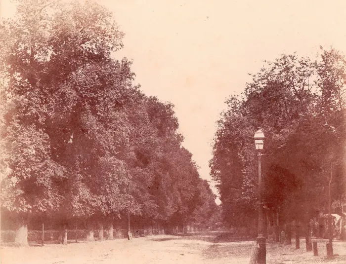 Framed Print : Allee bordee d arbres, 1850-53. Creator: Charles Marville Framed Print : Allee bordee d arbres, 1850-53. Creator: Charles Marville