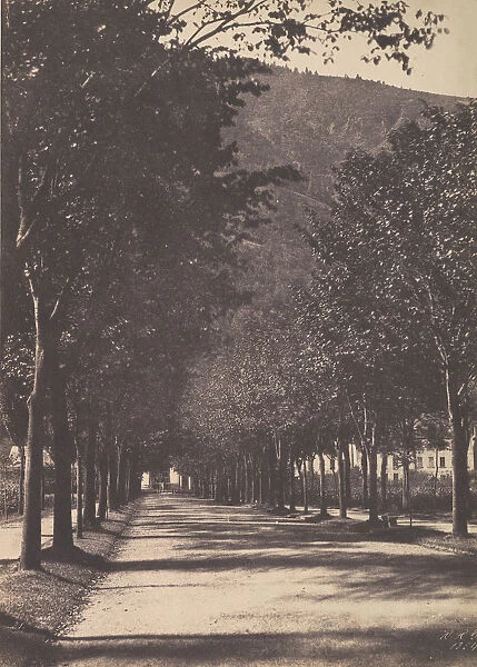 Allee of Trees, Pau, 1854. Creator: William Henri Gebhard