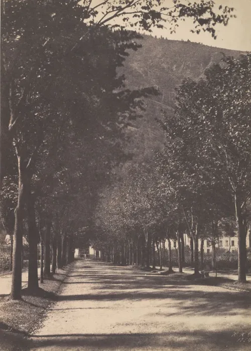 Framed Print : Allee of Trees, Pau, 1854. Creator: William Henri Gebhard Framed Print : Allee of Trees, Pau, 1854. Creator: William Henri Gebhard