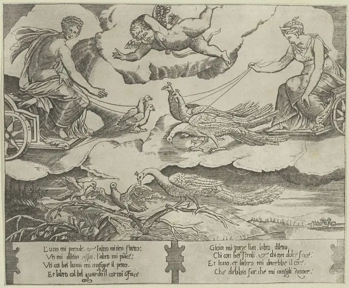 Framed Print : Allegory of Marriage and Love; Juno in a chariot drawn by peacocks at right, Venus, ca. 1540-60. Creator: Anon Framed Print : Allegory of Marriage and Love; Juno in a chariot drawn by peacocks at right, Venus, ca. 1540-60. Creator: Anon