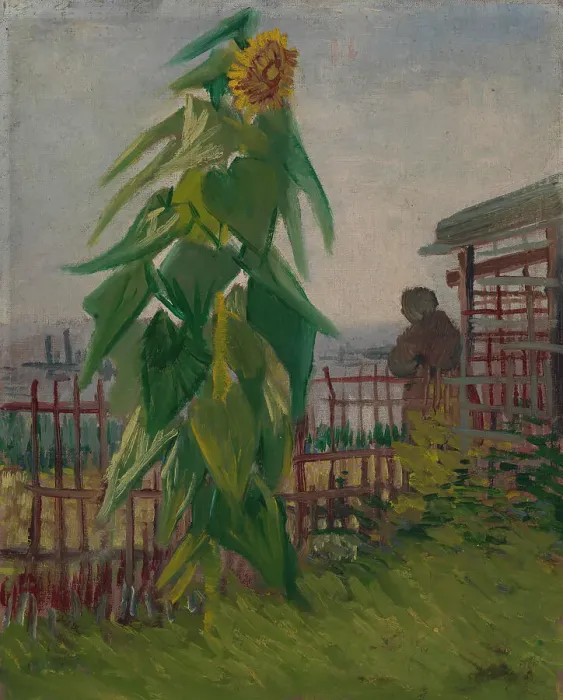 Framed Print : Allotment with Sunflower, 1887. Creator: Gogh, Vincent, van (1853-1890) Framed Print : Allotment with Sunflower, 1887. Creator: Gogh, Vincent, van (1853-1890)