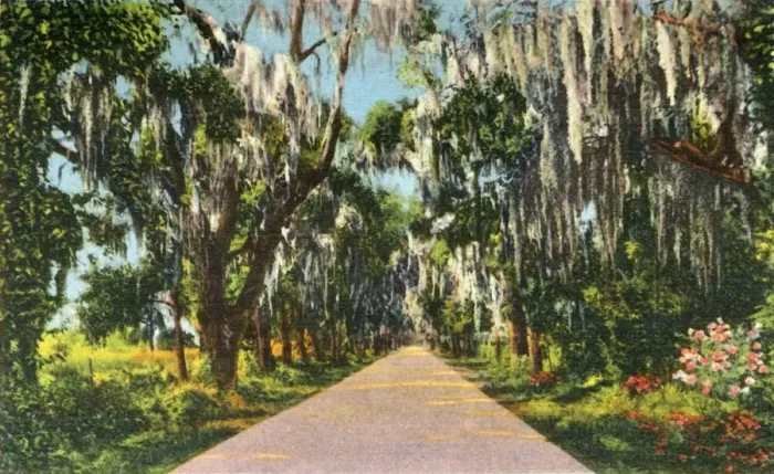 Framed Print : An Alluring Highway Scene in the Carolinas, 1942. Creator: Unknown Framed Print : An Alluring Highway Scene in the Carolinas, 1942. Creator: Unknown