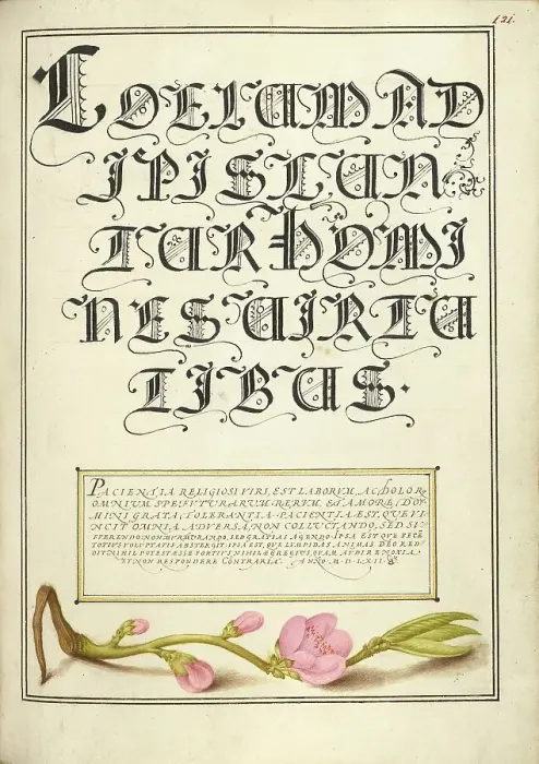 Framed Print : Almond in Flower; Mira calligraphiae monumenta, 1561-1562; illumination added 1591-1596. Creator: Joris Hoefnagel Framed Print : Almond in Flower; Mira calligraphiae monumenta, 1561-1562; illumination added 1591-1596. Creator: Joris Hoefnagel