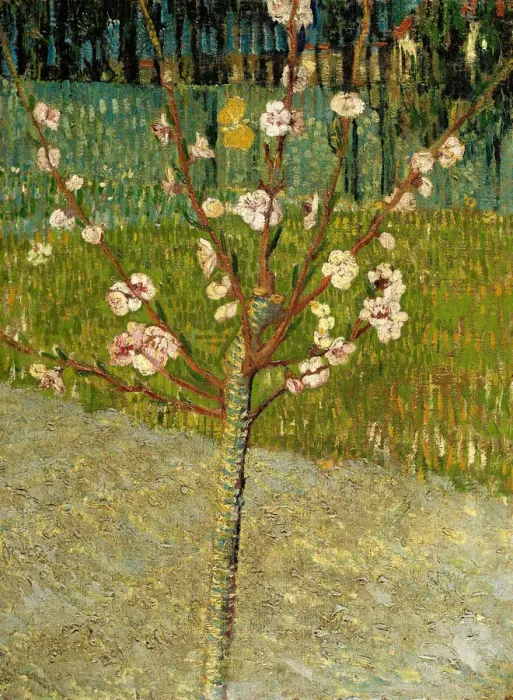 Framed Print : Almond tree in blossom, 1888. Artist: Gogh, Vincent, van (1853-1890) Framed Print : Almond tree in blossom, 1888. Artist: Gogh, Vincent, van (1853-1890)