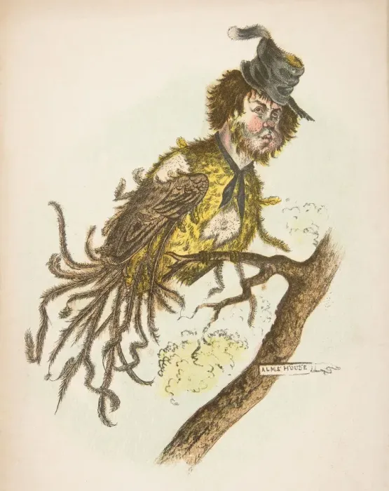 Framed Print : Alms House Bird, from The Comic Natural History of the Human Race, 1851 Framed Print : Alms House Bird, from The Comic Natural History of the Human Race, 1851