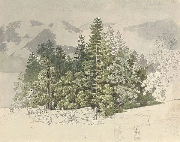 Alpine Landscape. Creator: Friedrich Salathe