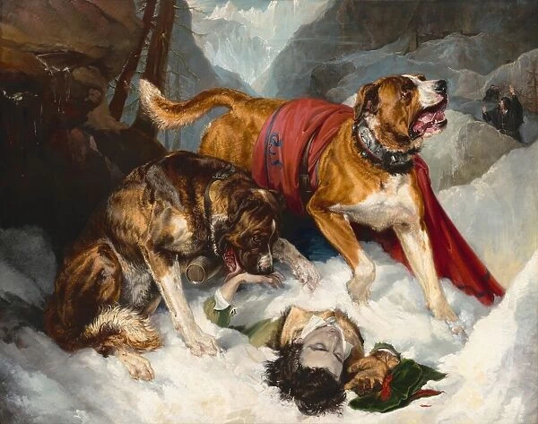 Alpine Mastiffs Reanimating a Distressed Traveler, 1820. Creator: Edwin Henry Landseer