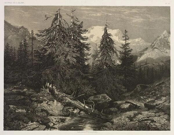 Alpine Stream. Creator: Alexandre Calame (Swiss, 1810-1864)