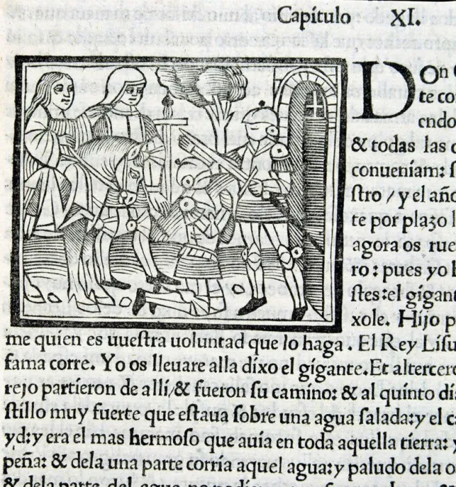 Framed Print : Amadis De Gaula Framed Print : Amadis De Gaula
