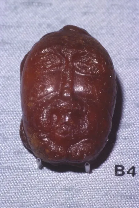 Framed Print : Amber Head of a Bearded Man, Viking Period, from Denmark, c8th-mid 11th century Framed Print : Amber Head of a Bearded Man, Viking Period, from Denmark, c8th-mid 11th century