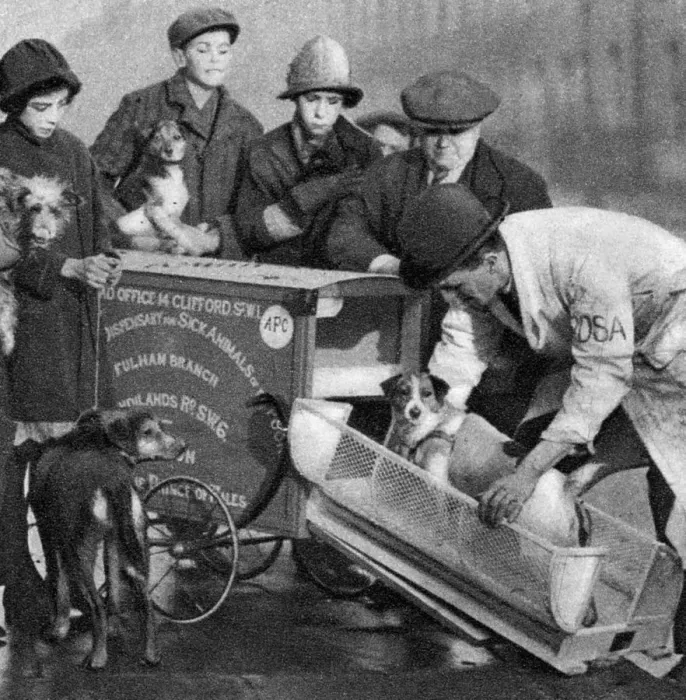 Framed Print : Ambulance of the Dispensary for Sick Animals of the Poor, London, 1926-1927 Framed Print : Ambulance of the Dispensary for Sick Animals of the Poor, London, 1926-1927