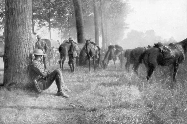 American cavalry unit at rest, Chemin des Dames, France, 1918