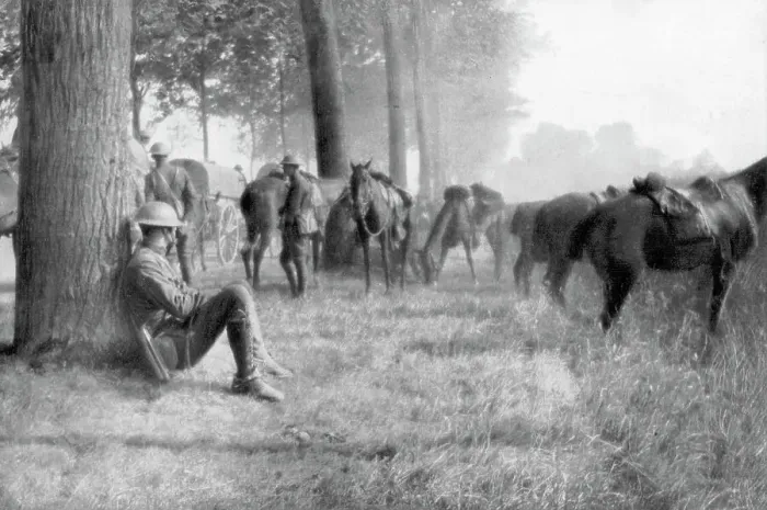Framed Print : American cavalry unit at rest, Chemin des Dames, France, 1918 Framed Print : American cavalry unit at rest, Chemin des Dames, France, 1918