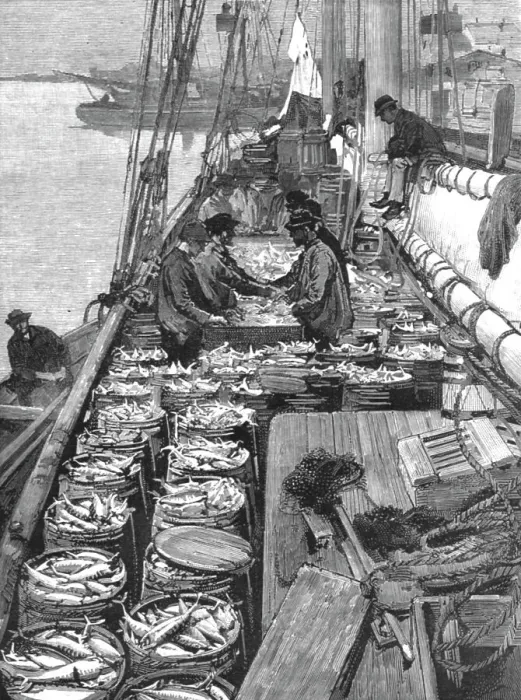 Framed Print : The American Fisheries Question; Dressing a Deck of Mackerel, 1890. Creator: Rev. W.S Green Framed Print : The American Fisheries Question; Dressing a Deck of Mackerel, 1890. Creator: Rev. W.S Green