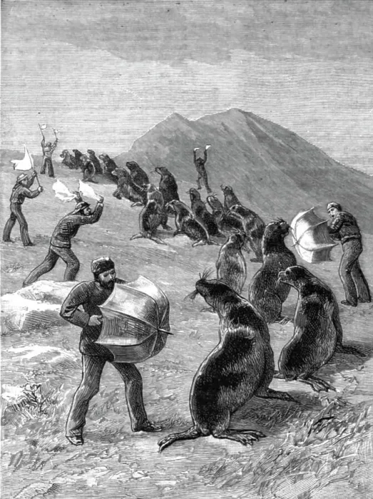 Framed Print : The American Fisheries Question; Driving Seals to the Killing Place, Behring's Straits, 1890. Creator: H.W Elliot Framed Print : The American Fisheries Question; Driving Seals to the Killing Place, Behring's Straits, 1890. Creator: H.W Elliot