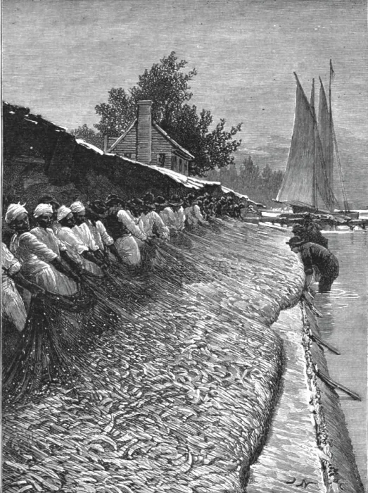Framed Print : The American Fisheries Question; Shad Fisheries on the Potomac, 1890. Creator: H.W Elliot Framed Print : The American Fisheries Question; Shad Fisheries on the Potomac, 1890. Creator: H.W Elliot