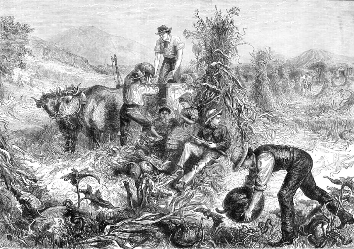 Framed Print : American Harvest Home, 1881. Creator: Unknown Framed Print : American Harvest Home, 1881. Creator: Unknown