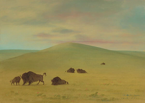American Pasturage - Prairies of the Platte, 1861  /  1869. Creator: George Catlin