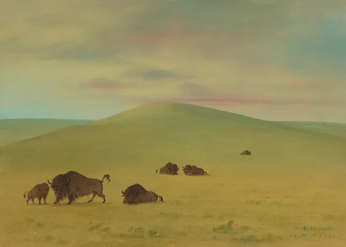 Framed Print : American Pasturage - Prairies of the Platte, 1861  /  1869. Creator: George Catlin