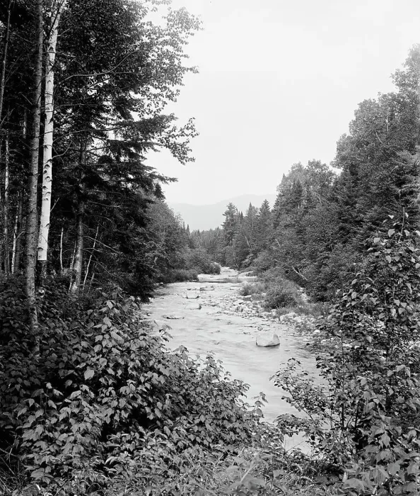 Framed Print : Ammonoosuc and Mt. Clay, Mt. Pleasant Farm, White Mountains, The, between 1900 and 1906. Creator: Unknown Framed Print : Ammonoosuc and Mt. Clay, Mt. Pleasant Farm, White Mountains, The, between 1900 and 1906. Creator: Unknown