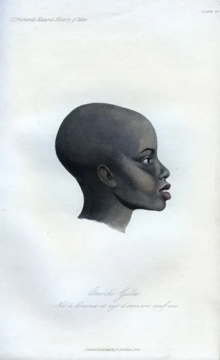 Framed Print : Amochi Galla, a portrait of a Galla, 1848 Framed Print : Amochi Galla, a portrait of a Galla, 1848