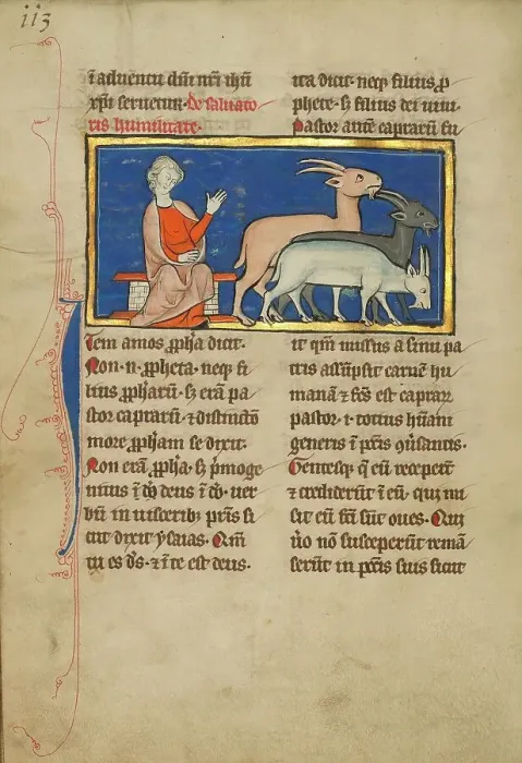 Framed Print : Amos and Three Goats; De Natura Avium; De Pastoribus et Ovibus, 1277 or after. Creator: Unknown Framed Print : Amos and Three Goats; De Natura Avium; De Pastoribus et Ovibus, 1277 or after. Creator: Unknown