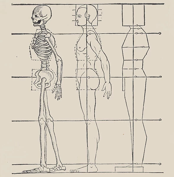 Anatomical illustration, 1564. Creator: Heinrich Lautensack