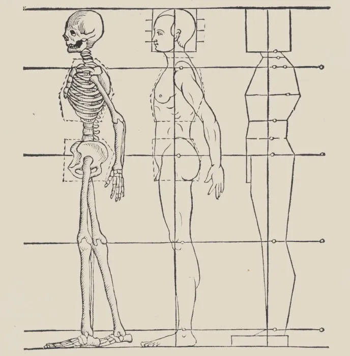Framed Print : Anatomical illustration, 1564. Creator: Heinrich Lautensack Framed Print : Anatomical illustration, 1564. Creator: Heinrich Lautensack