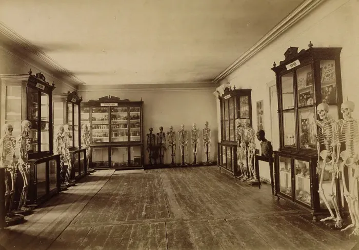 Framed Print : Part of the anatomical museum, 1890. Creator: Unknown Framed Print : Part of the anatomical museum, 1890. Creator: Unknown