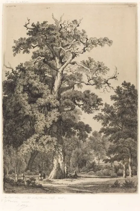 Framed Print : Ancient Oak in the Bois de Boulogne, 1855. Creator: Eugene Blery Framed Print : Ancient Oak in the Bois de Boulogne, 1855. Creator: Eugene Blery