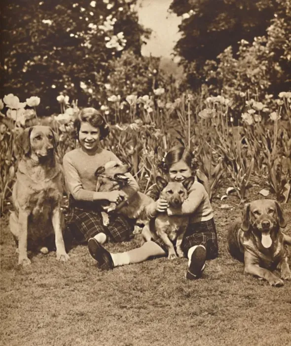 Framed Print : -And Friends, Princesses Elizabeth and Mary at Royal Lodge, Windsor, c1936 (1937) Framed Print : -And Friends, Princesses Elizabeth and Mary at Royal Lodge, Windsor, c1936 (1937)