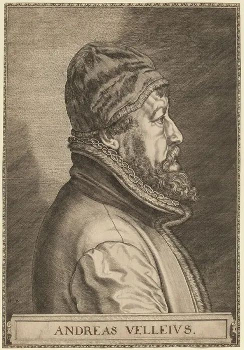 Framed Print : Andreas Velleius (Anders Sorensen Vedel). Creator: Jan Wierix Framed Print : Andreas Velleius (Anders Sorensen Vedel). Creator: Jan Wierix