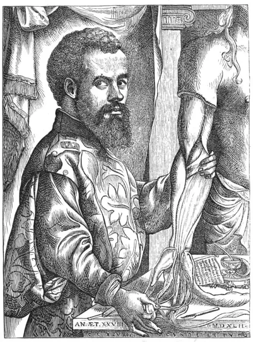Framed Print : Andreas Vesalius, 16th century Flemish anatomist Framed Print : Andreas Vesalius, 16th century Flemish anatomist