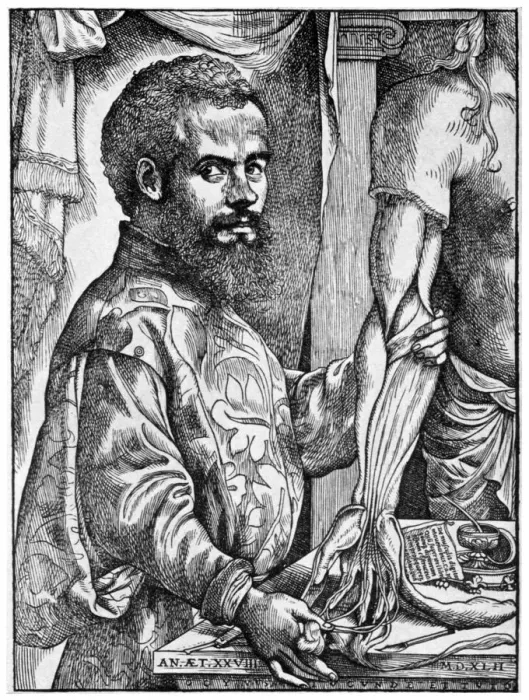 Framed Print : Andreas Vesalius, 16th century Flemish anatomist, 1954 Framed Print : Andreas Vesalius, 16th century Flemish anatomist, 1954