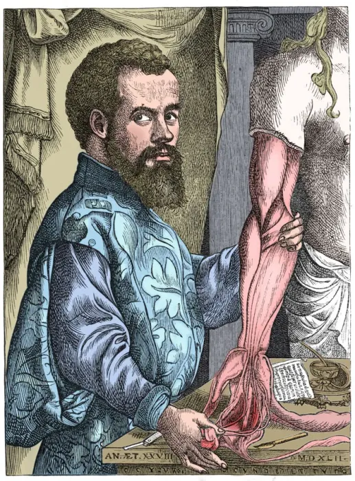 Framed Print : Andreas Vesalius, 16th century Flemish anatomist Framed Print : Andreas Vesalius, 16th century Flemish anatomist