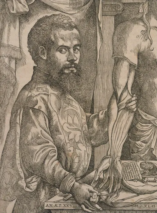Framed Print : Andreas Vesalius dissecting the muscles of the forearm of a cadaver, 1543. Artist: Steven van Calcar Framed Print : Andreas Vesalius dissecting the muscles of the forearm of a cadaver, 1543. Artist: Steven van Calcar