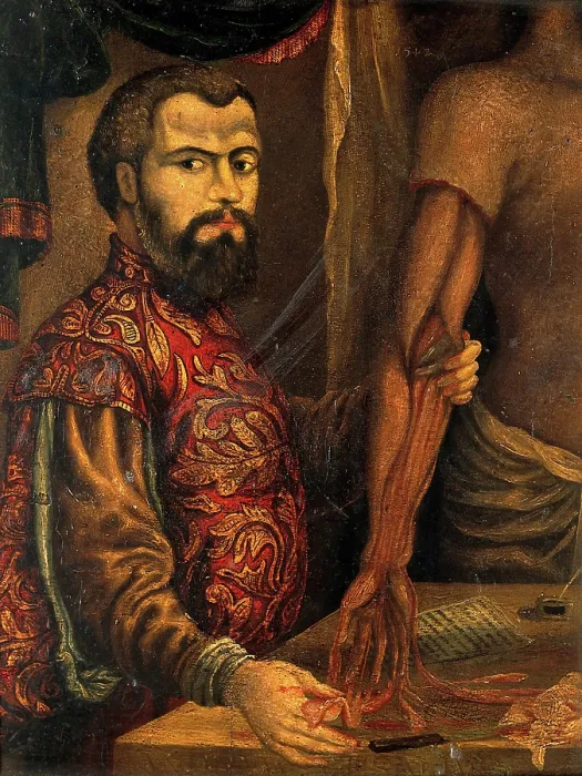 Framed Print : Andreas Vesalius. After a woodcut, c1550. Creator: Unknown Framed Print : Andreas Vesalius. After a woodcut, c1550. Creator: Unknown