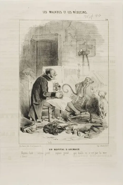 Framed Print : An Animal Hospital (plate 20), 1843. Creator: Charles Emile Jacque Framed Print : An Animal Hospital (plate 20), 1843. Creator: Charles Emile Jacque