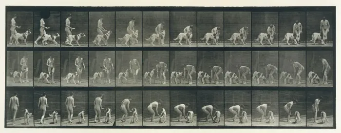 Framed Print : Animal Locomotion. An Electro-Photographic Investigation of Consecutive Phases of Animal Framed Print : Animal Locomotion. An Electro-Photographic Investigation of Consecutive Phases of Animal