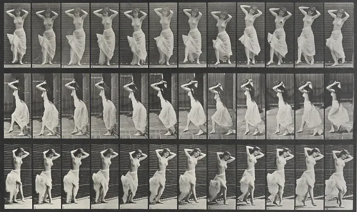 Framed Print : Animal Locomotion Plate 190, 1887. Creator: Muybridge, Eadweard (1830-1904) Framed Print : Animal Locomotion Plate 190, 1887. Creator: Muybridge, Eadweard (1830-1904)