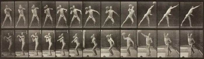 Framed Print : Animal Locomotion, Plate 319, 1887. Creator: Eadweard J Muybridge Framed Print : Animal Locomotion, Plate 319, 1887. Creator: Eadweard J Muybridge