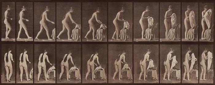 Framed Print : Animal Locomotion. Plate 415, 1887. Creator: Muybridge, Eadweard (1830-1904) Framed Print : Animal Locomotion. Plate 415, 1887. Creator: Muybridge, Eadweard (1830-1904)