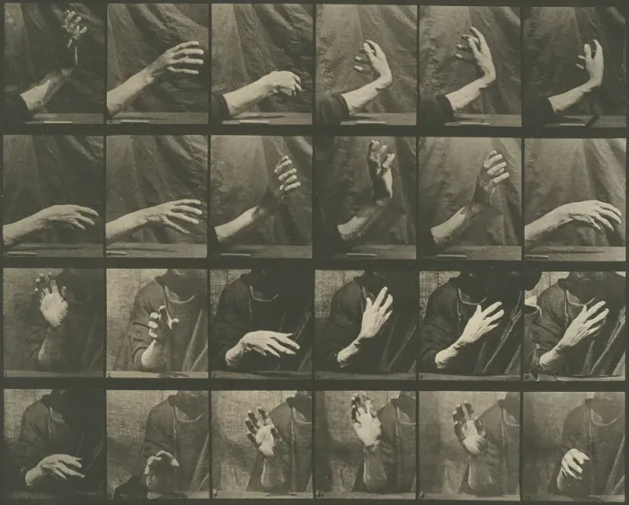 Framed Print : Animal Locomotion, Plate 535, 1887. Creator: Eadweard J Muybridge Framed Print : Animal Locomotion, Plate 535, 1887. Creator: Eadweard J Muybridge