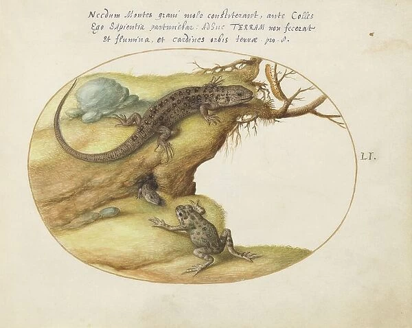 Animalia Qvadrvpedia et Reptilia (Terra): Plate LI, c. 1575 / 1580. Creator: Joris Hoefnagel