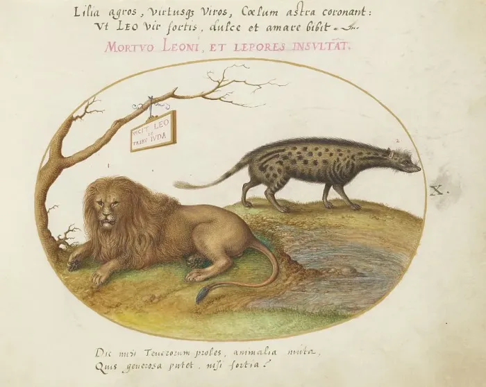 Framed Print : Animalia Qvadrvpedia et Reptilia (Terra): Plate X, c. 1575 / 1580. Creator: Joris Hoefnagel Framed Print : Animalia Qvadrvpedia et Reptilia (Terra): Plate X, c. 1575 / 1580. Creator: Joris Hoefnagel