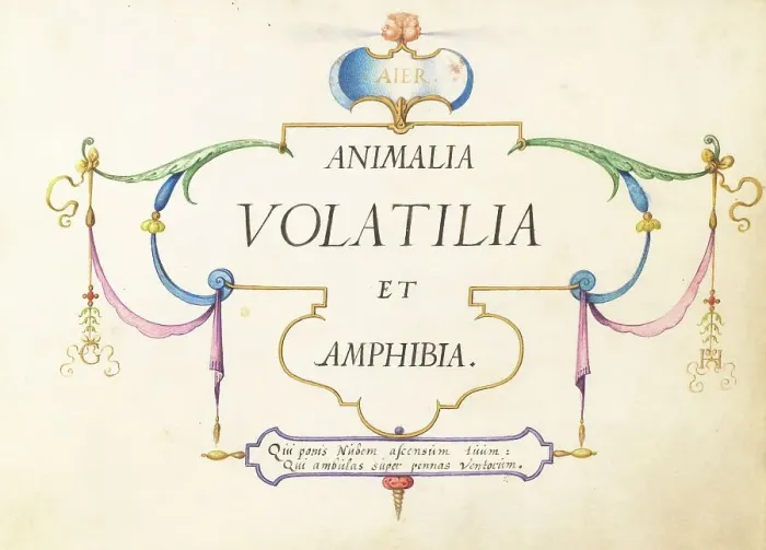 Framed Print : Animalia Volatilia et Amphibia (Aier): Title Page, c. 1575 / 1580. Creator: Joris Hoefnagel Framed Print : Animalia Volatilia et Amphibia (Aier): Title Page, c. 1575 / 1580. Creator: Joris Hoefnagel