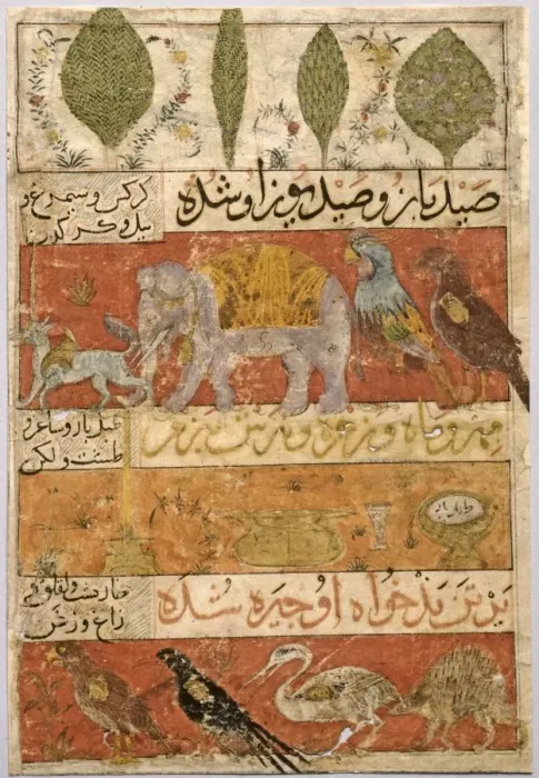 Framed Print : Animals, Birds, and Plants (verso); Illustration and Text (Persian Verses)... 1341 Framed Print : Animals, Birds, and Plants (verso); Illustration and Text (Persian Verses)... 1341