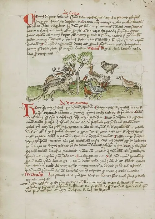 Framed Print : Animals Gathered under a Tree; Fables, third quarter of 15th century. Creator: Unknown Framed Print : Animals Gathered under a Tree; Fables, third quarter of 15th century. Creator: Unknown